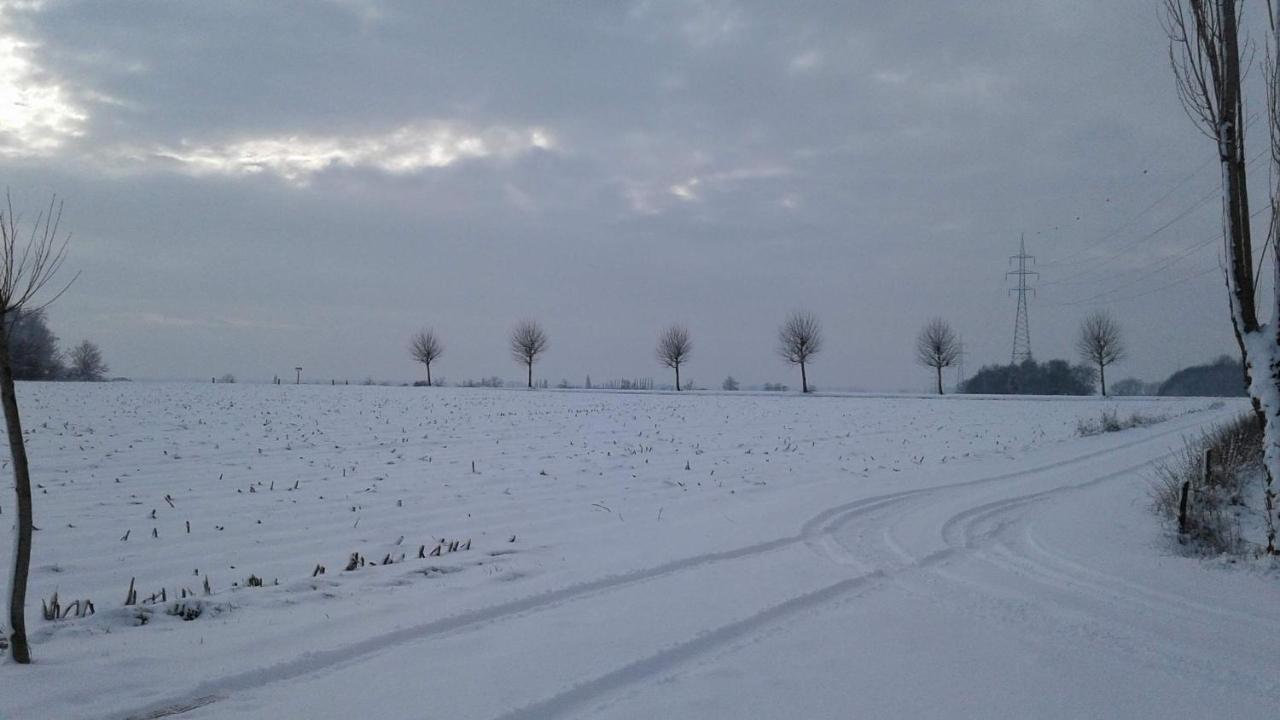 B & B Victors Hof, Met Zwemvijver In Landelijke Setting Lievegem Екстериор снимка