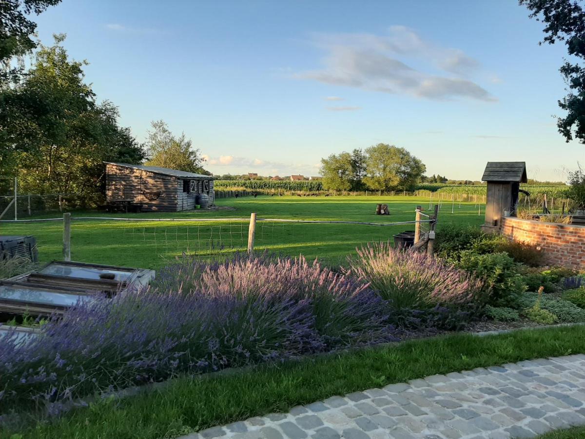 B & B Victors Hof, Met Zwemvijver In Landelijke Setting Lievegem Екстериор снимка