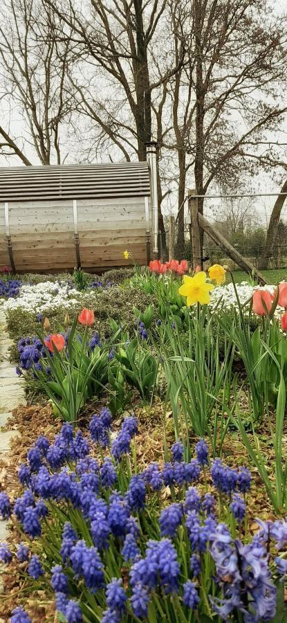 B & B Victors Hof, Met Zwemvijver In Landelijke Setting Lievegem Екстериор снимка