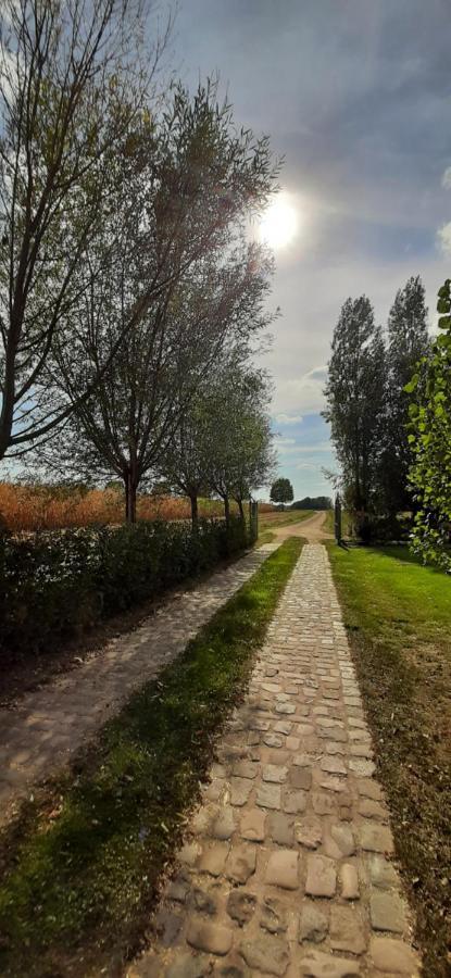 B & B Victors Hof, Met Zwemvijver In Landelijke Setting Lievegem Екстериор снимка