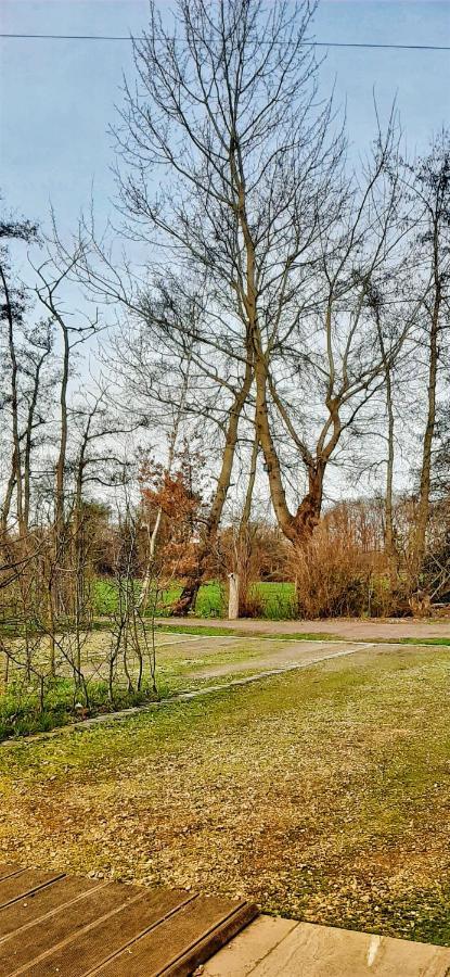 B & B Victors Hof, Met Zwemvijver In Landelijke Setting Lievegem Екстериор снимка